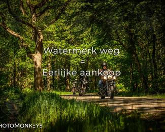 Motor Elfstedentocht 2026 photo