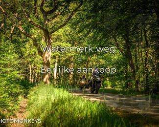 Motor Elfstedentocht 2026 photo