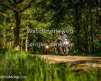 Motor Elfstedentocht 2026 photo