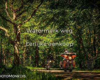 Motor Elfstedentocht 2026 photo