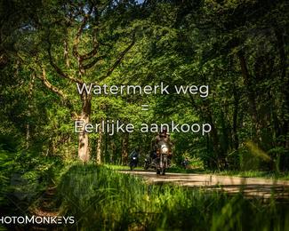 Motor Elfstedentocht 2026 photo