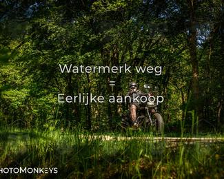 Motor Elfstedentocht 2026 photo