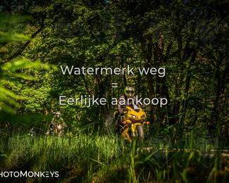 Motor Elfstedentocht 2026 photo