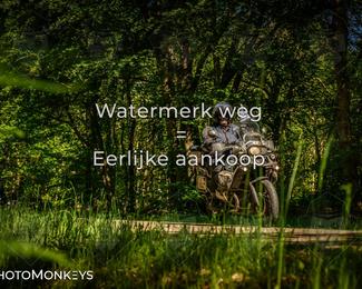 Motor Elfstedentocht 2026 photo