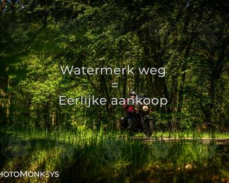 Motor Elfstedentocht 2026 photo