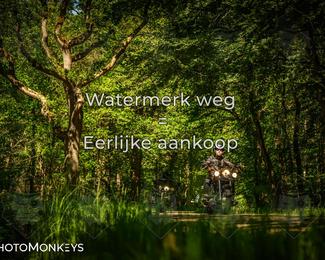 Motor Elfstedentocht 2026 photo