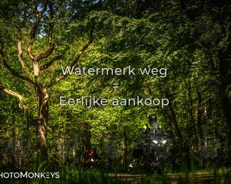 Motor Elfstedentocht 2026 photo