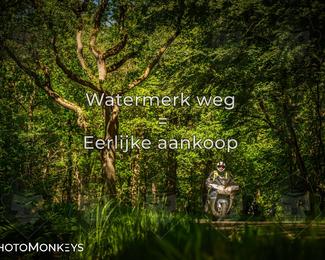 Motor Elfstedentocht 2026 photo