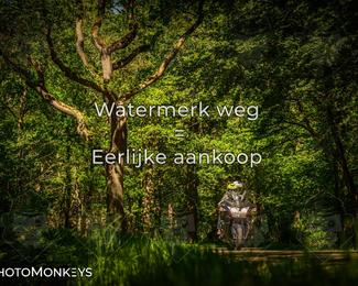 Motor Elfstedentocht 2026 photo