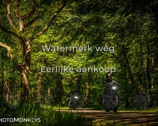 Motor Elfstedentocht 2026 photo