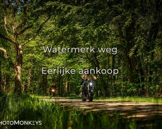 Motor Elfstedentocht 2026 photo