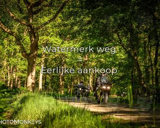 Motor Elfstedentocht 2026 photo