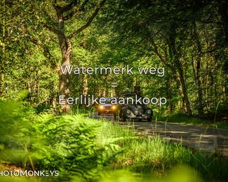 Motor Elfstedentocht 2026 photo