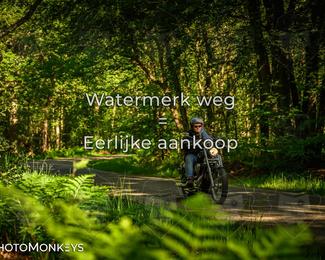 Motor Elfstedentocht 2026 photo