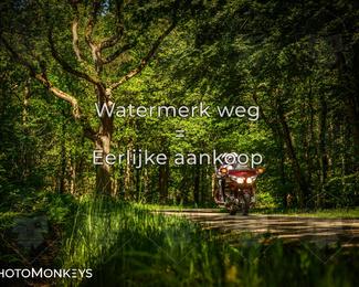 Motor Elfstedentocht 2026 photo
