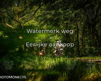 Motor Elfstedentocht 2026 photo
