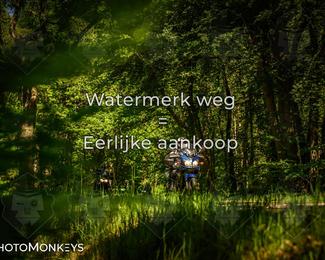 Motor Elfstedentocht 2026 photo