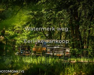 Motor Elfstedentocht 2026 photo