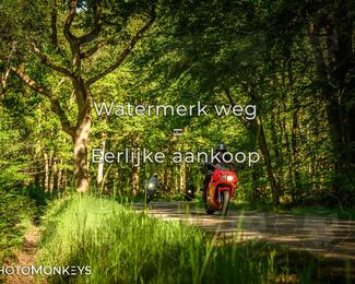 Motor Elfstedentocht 2026 photo