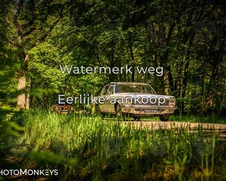 Motor Elfstedentocht 2026 photo