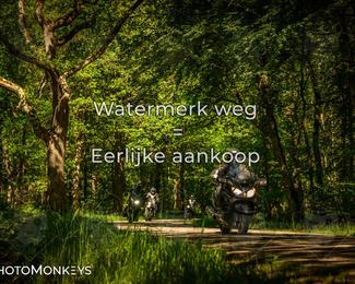 Motor Elfstedentocht 2026 photo