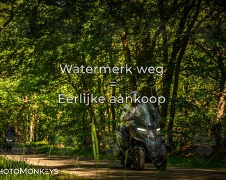 Motor Elfstedentocht 2026 photo