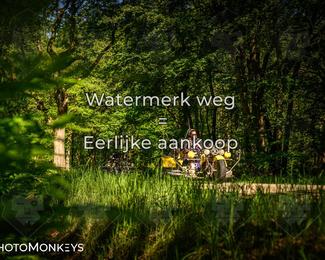 Motor Elfstedentocht 2026 photo