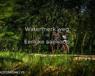 Motor Elfstedentocht 2026 photo
