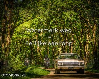 Motor Elfstedentocht 2026 photo