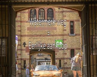 Motor Elfstedentocht 2026 photo