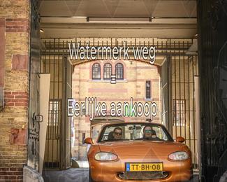 Motor Elfstedentocht 2026 photo