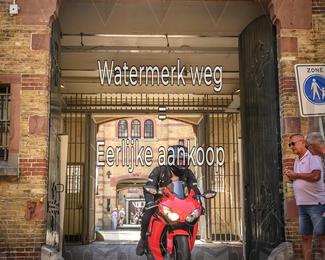 Motor Elfstedentocht 2026 photo