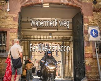Motor Elfstedentocht 2026 photo