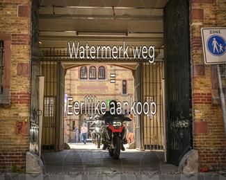 Motor Elfstedentocht 2026 photo