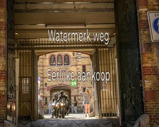 Motor Elfstedentocht 2026 photo