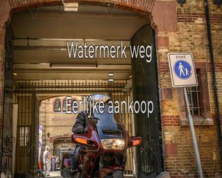 Motor Elfstedentocht 2026 photo