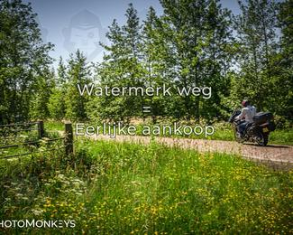 Motor Elfstedentocht 2026 photo