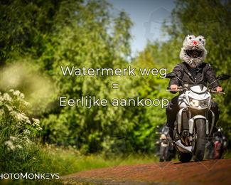 Motor Elfstedentocht 2026 photo