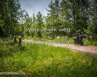 Motor Elfstedentocht 2026 photo