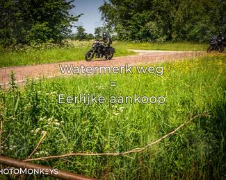 Motor Elfstedentocht 2026 photo