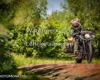 Motor Elfstedentocht 2026 photo