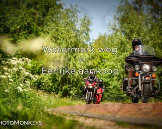 Motor Elfstedentocht 2026 photo