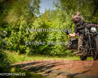 Motor Elfstedentocht 2026 photo