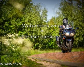 Motor Elfstedentocht 2026 photo