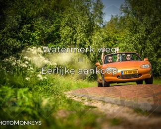 Motor Elfstedentocht 2026 photo