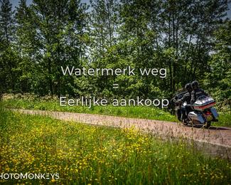 Motor Elfstedentocht 2026 photo