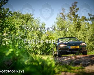 Motor Elfstedentocht 2026 photo