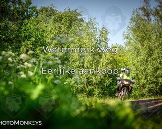 Motor Elfstedentocht 2026 photo