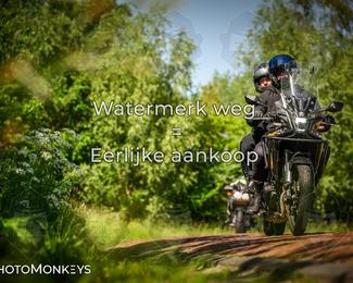 Motor Elfstedentocht 2026 photo