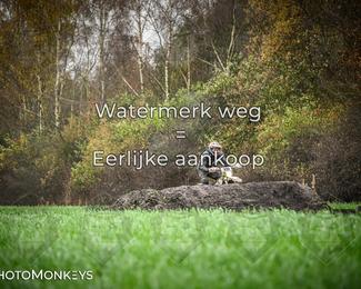 Offroad Rit Balkbrug photo